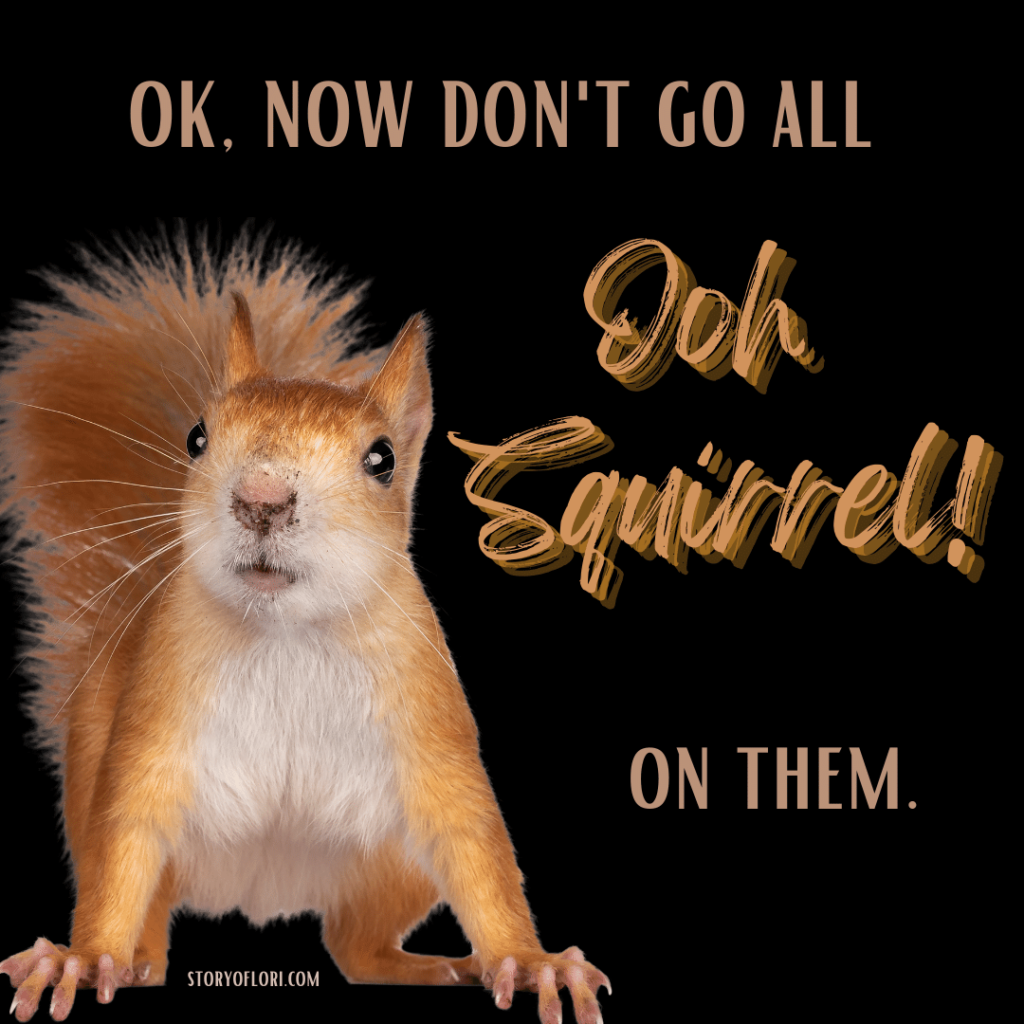 Ok, Now Don't Go All OOH SQUIRREL! on Them!