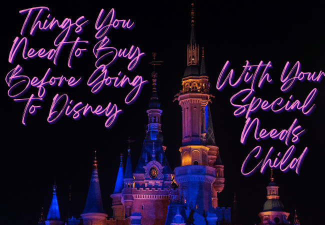 31 Things You Need to Buy Before Going to Disney With Your Special Needs Child